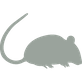 souris