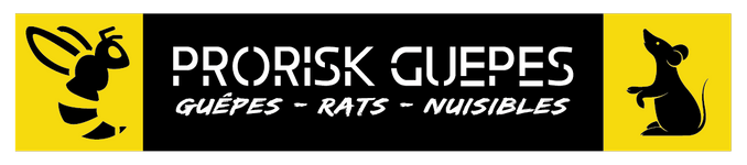 Prorisk guêpes: destruction nid de guêpes - frelons - rats - abeilles - nuisibles